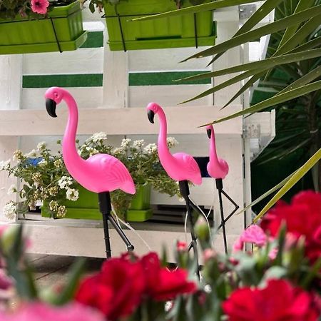 Отель Casa Flamingo Фигейра-да-Фош Экстерьер фото