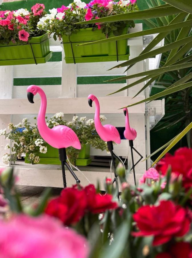 Отель Casa Flamingo Фигейра-да-Фош Экстерьер фото